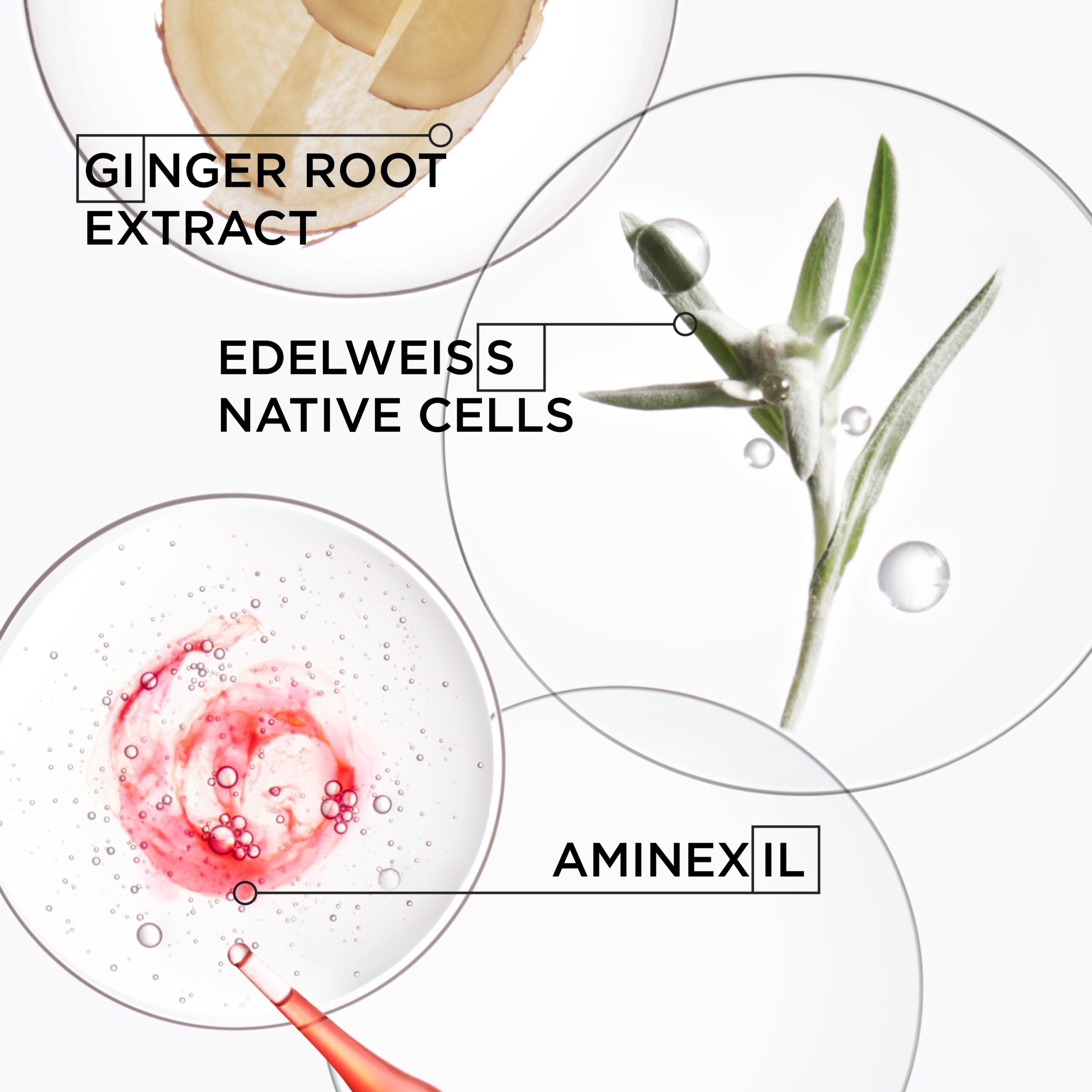 Genesis 500ml Refill - Image 5