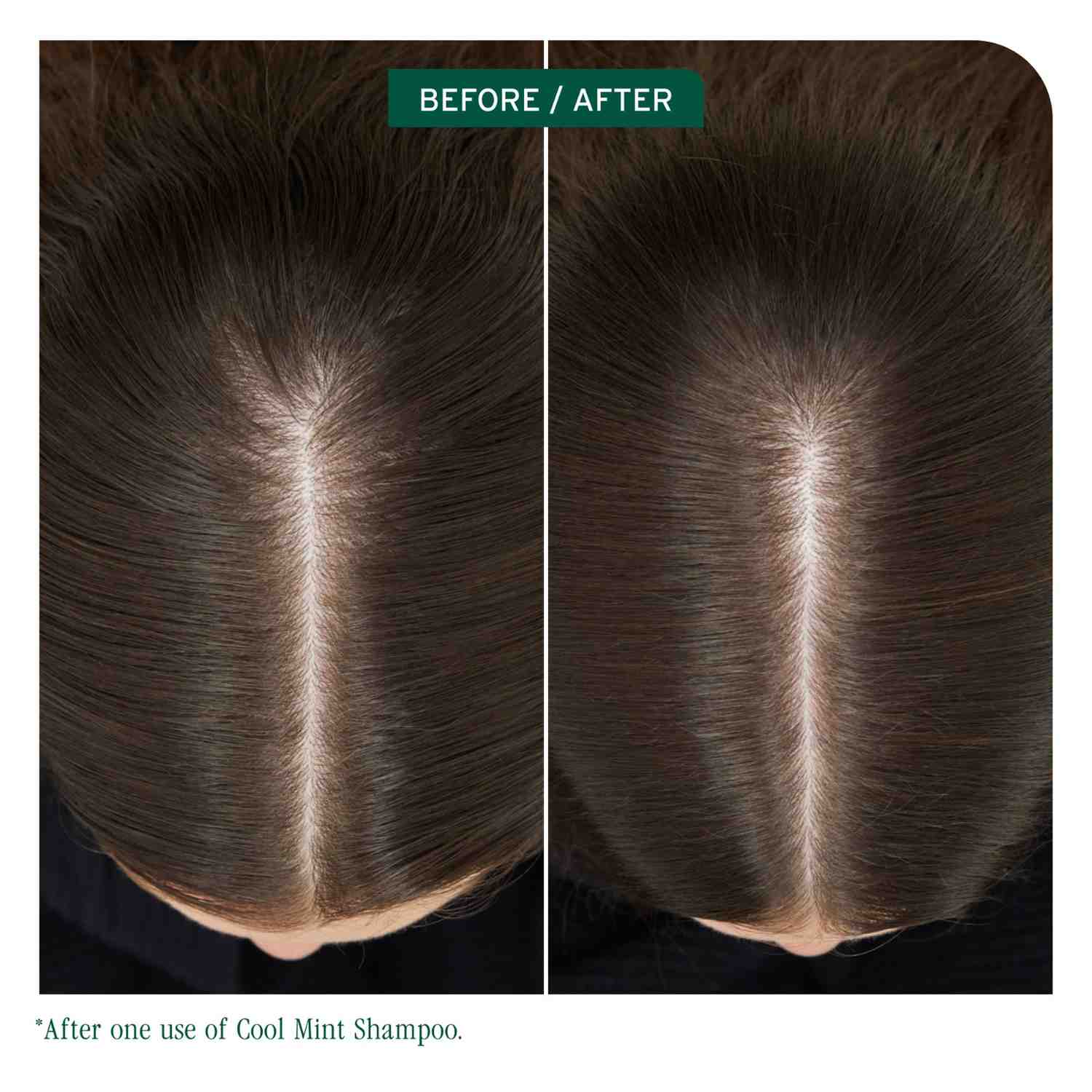 SCALP SYNC COOL MINT SHAMPOO - Image 2