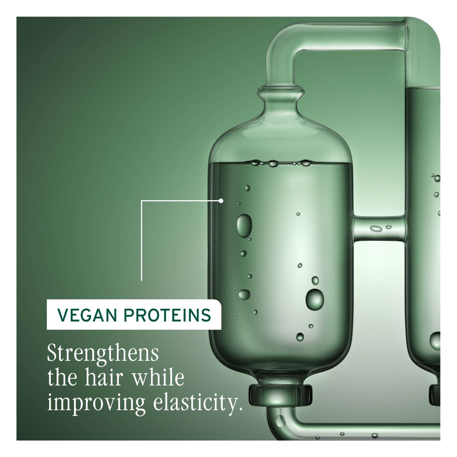 STRENGTH RECOVERY CONDITIONER - Image 4