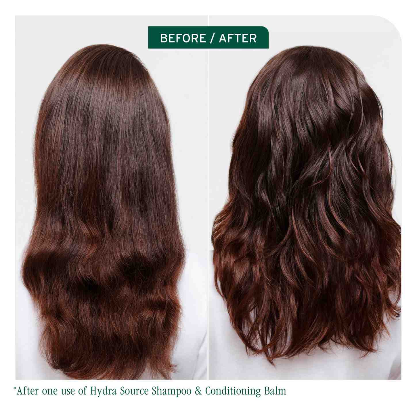 HYDRA SOURCE CONDITIONER - Image 2