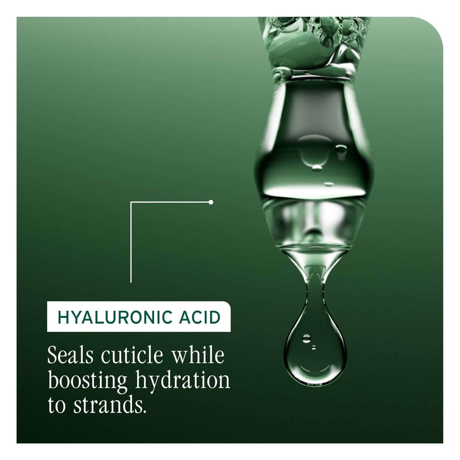 HYDRA SOURCE CONDITIONER - Image 4