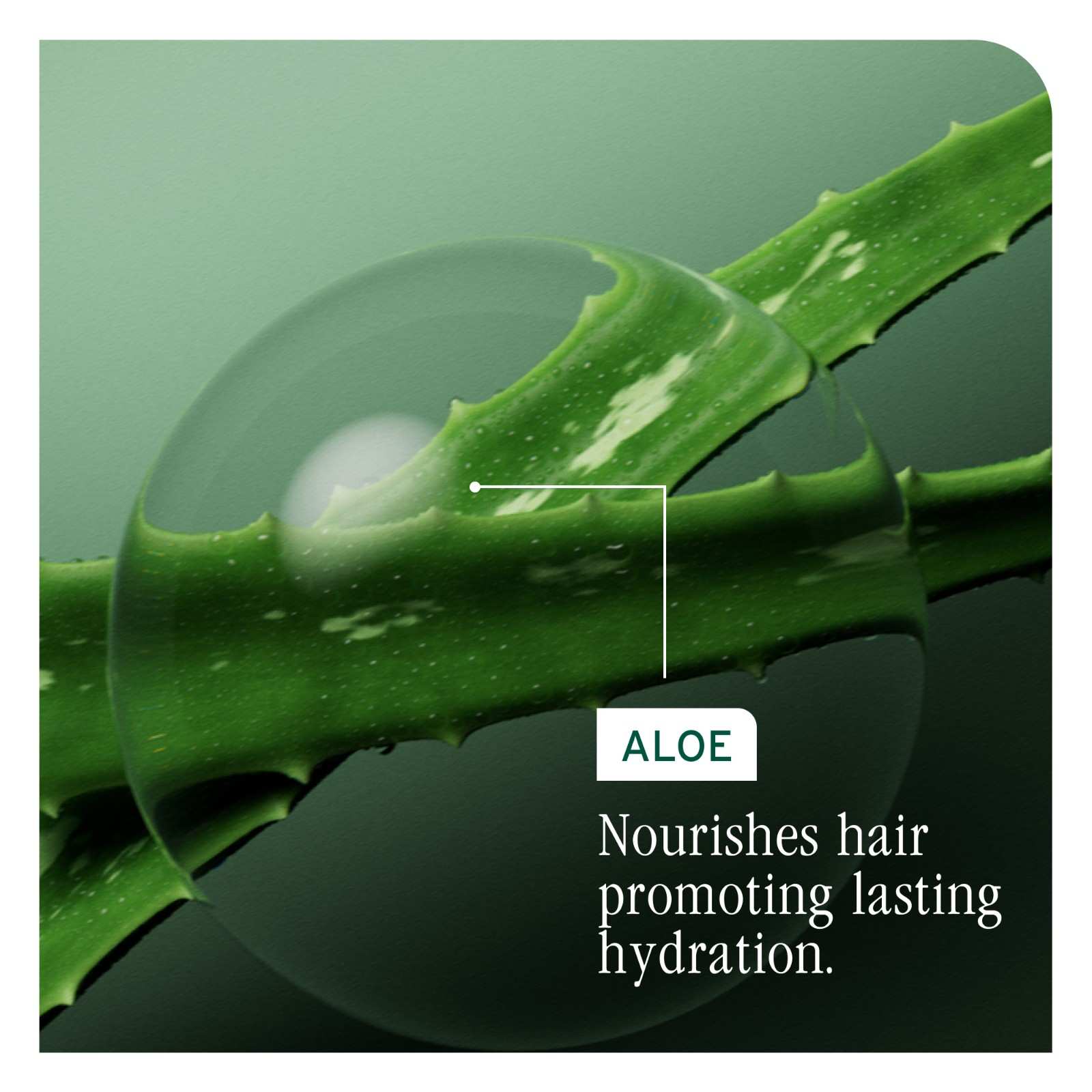HYDRA SOURCE CONDITIONER - Image 5